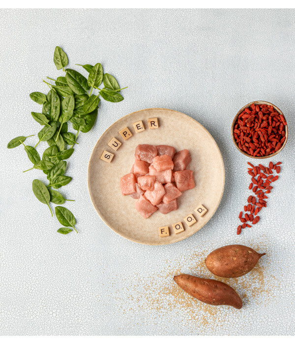 Bild 2 von Dehner Best Nature Trockenfutter für Hunde Senior Superfood, Goji Spinat