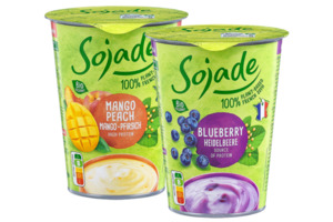 Soja-Joghurt oder -Quark Alternative