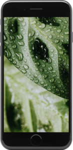 Apple iPhone SE (2022) 64GB Mitternacht Premium Refurbished Smartphone