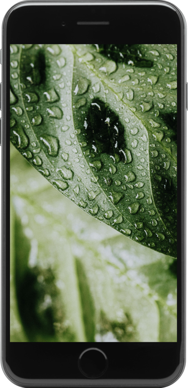 Bild 1 von Apple iPhone SE (2022) 64GB Mitternacht Premium Refurbished Smartphone