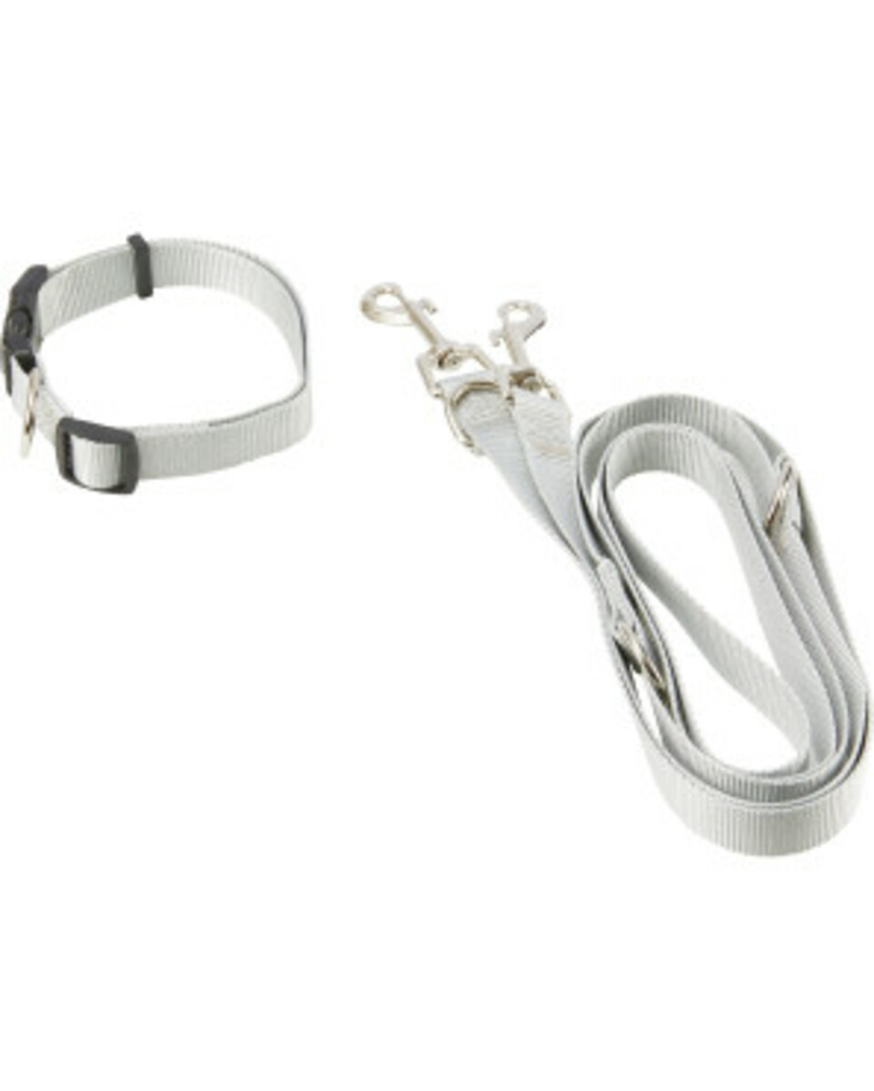 Bild 1 von Hundeleine + Hundehalsband