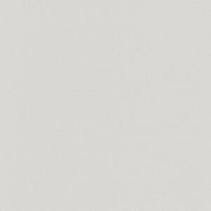 XXXLutz VLIESTAPETE Silber