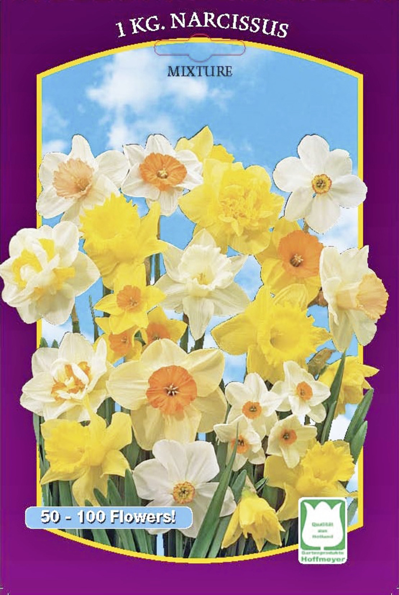 Bild 1 von Narzissen-Mischung 1kg