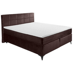 Xora BOXSPRINGBETT Aubergine