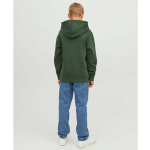 Jacke&Jones Junior JJESTAR JJ SWEAT HOOD Hoodie