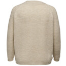 Bild 2 von Only CARJADE L/S PULLOVER Strickpullover