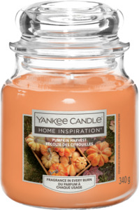 Yankee Candle Duftglas Pumpkin Harvest