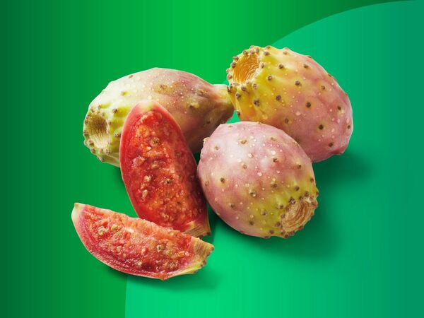 Kaktusfeigen von Lidl ansehen!