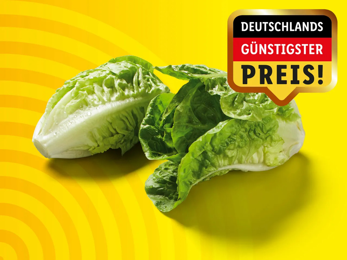 Bild 1 von Deutscher Mini Romana Salat