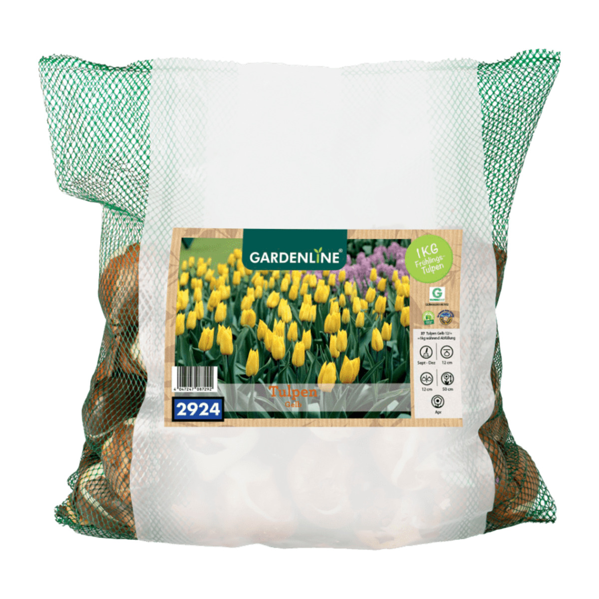 Bild 4 von GARDENLINE Narzissen- / Tulpenzwiebeln