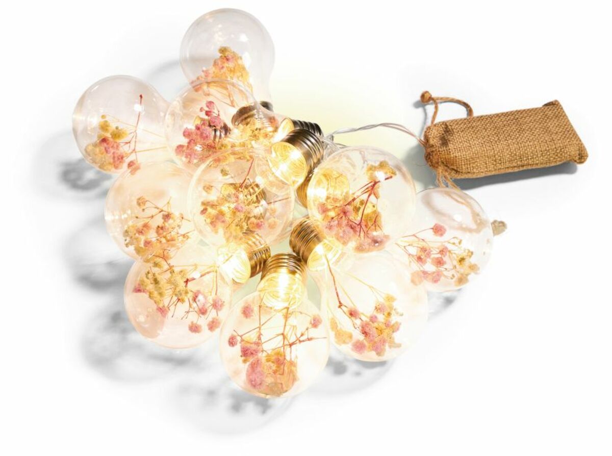 Bild 1 von Dekor LED Lichterkette -versch. Ausführungen-mit getrockneten Blumen,  transparentes Kabel