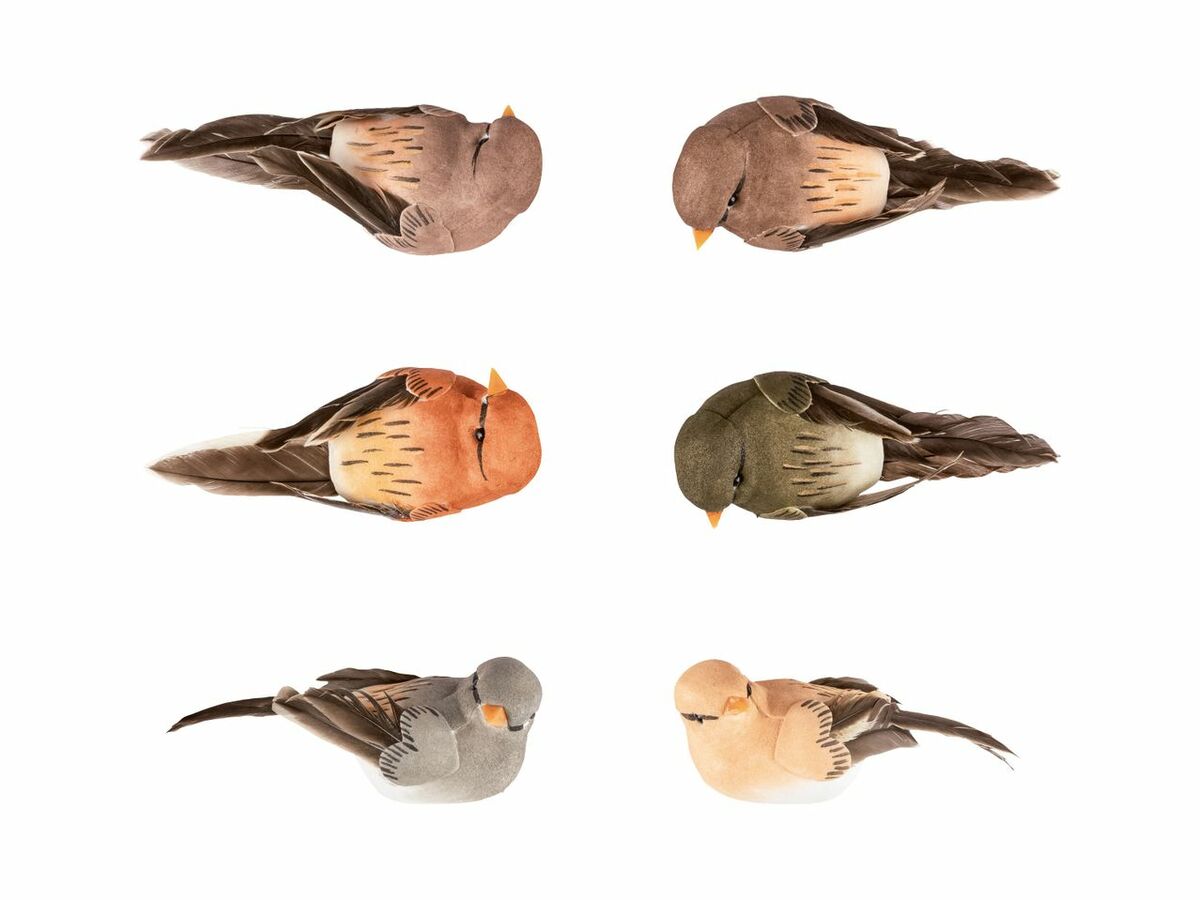 Bild 3 von LIVARNO home Deko-Clips