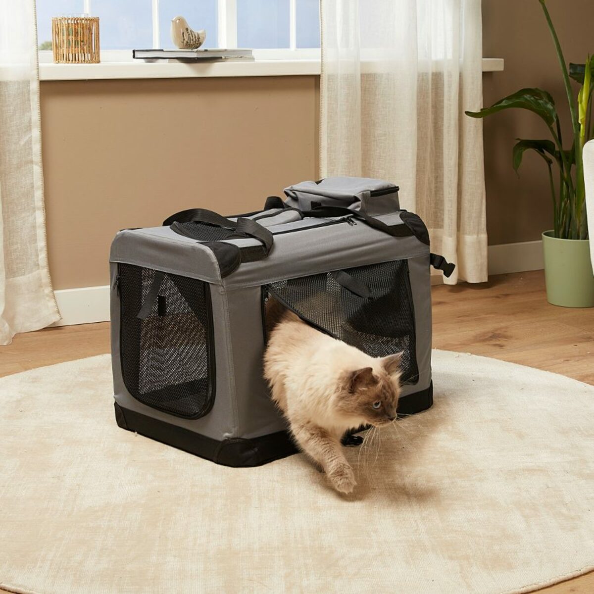 Bild 3 von Transportbox