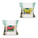 Bild 1 von GARDENLINE Narzissen- / Tulpenzwiebeln