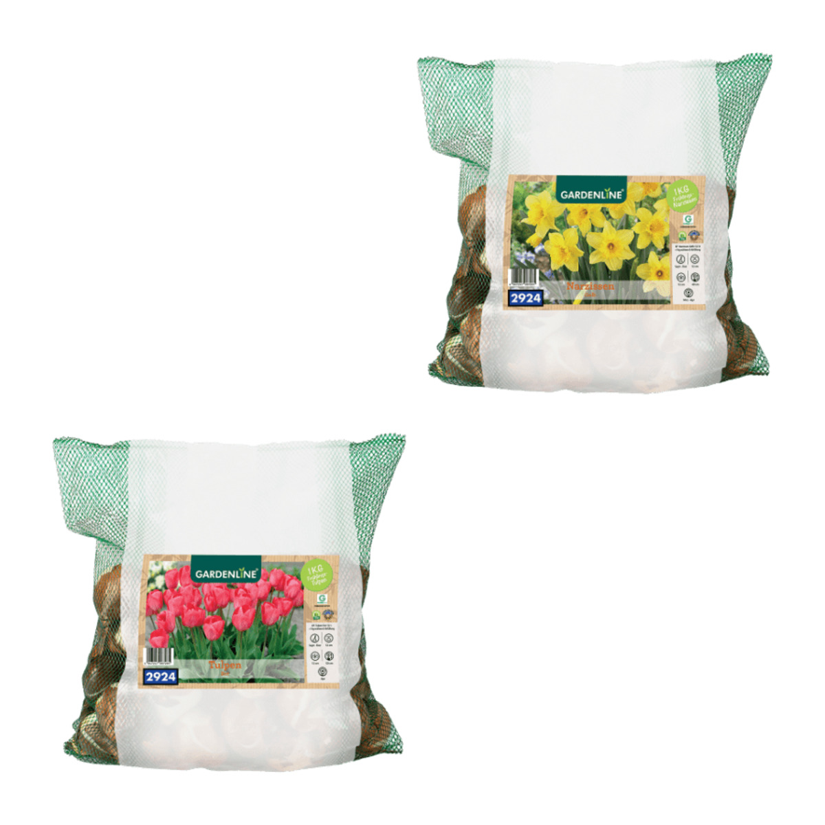 Bild 1 von GARDENLINE Narzissen- / Tulpenzwiebeln