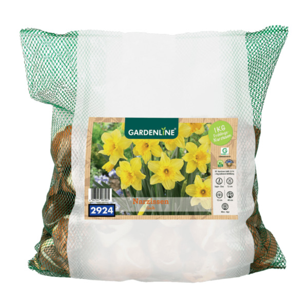 Bild 3 von GARDENLINE Narzissen- / Tulpenzwiebeln