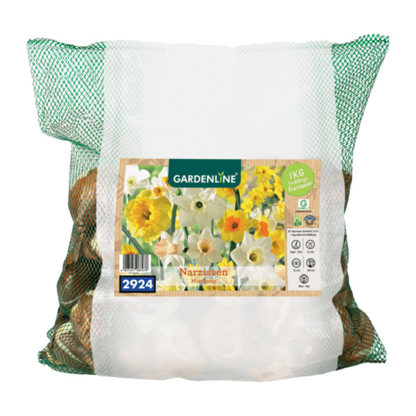 Bild 2 von GARDENLINE Narzissen- / Tulpenzwiebeln