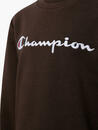 Bild 3 von Champion Sweatshirt