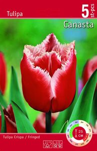 Blumenzwiebeln Tulpen-Mischung