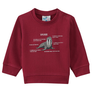 Baby Sweatshirt mit Walross-Motiv