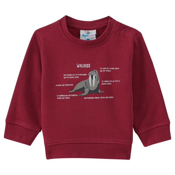 Bild 1 von Baby Sweatshirt mit Walross-Motiv