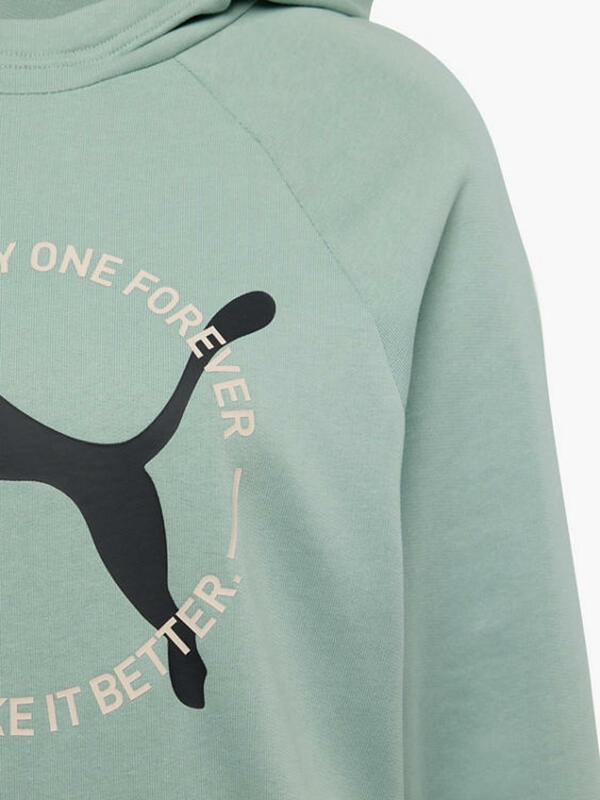 Bild 3 von Puma Hoodie