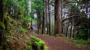 Bild 1 von Rundreisen Portugal/Madeira: Wanderreise mit Aufenthalt im Hotel Madeira Panorâmico in Funchal