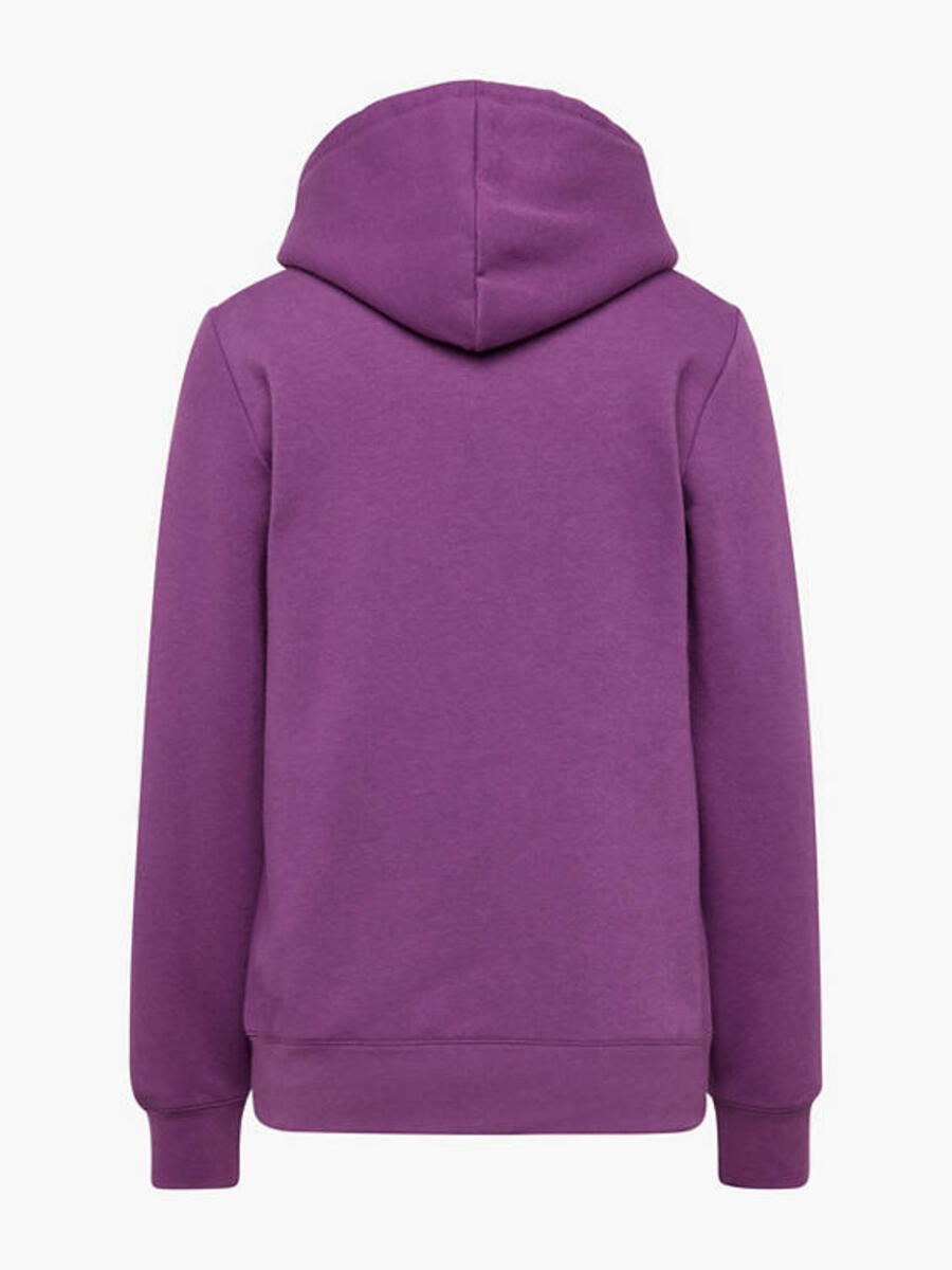 Bild 2 von Champion Hoodie