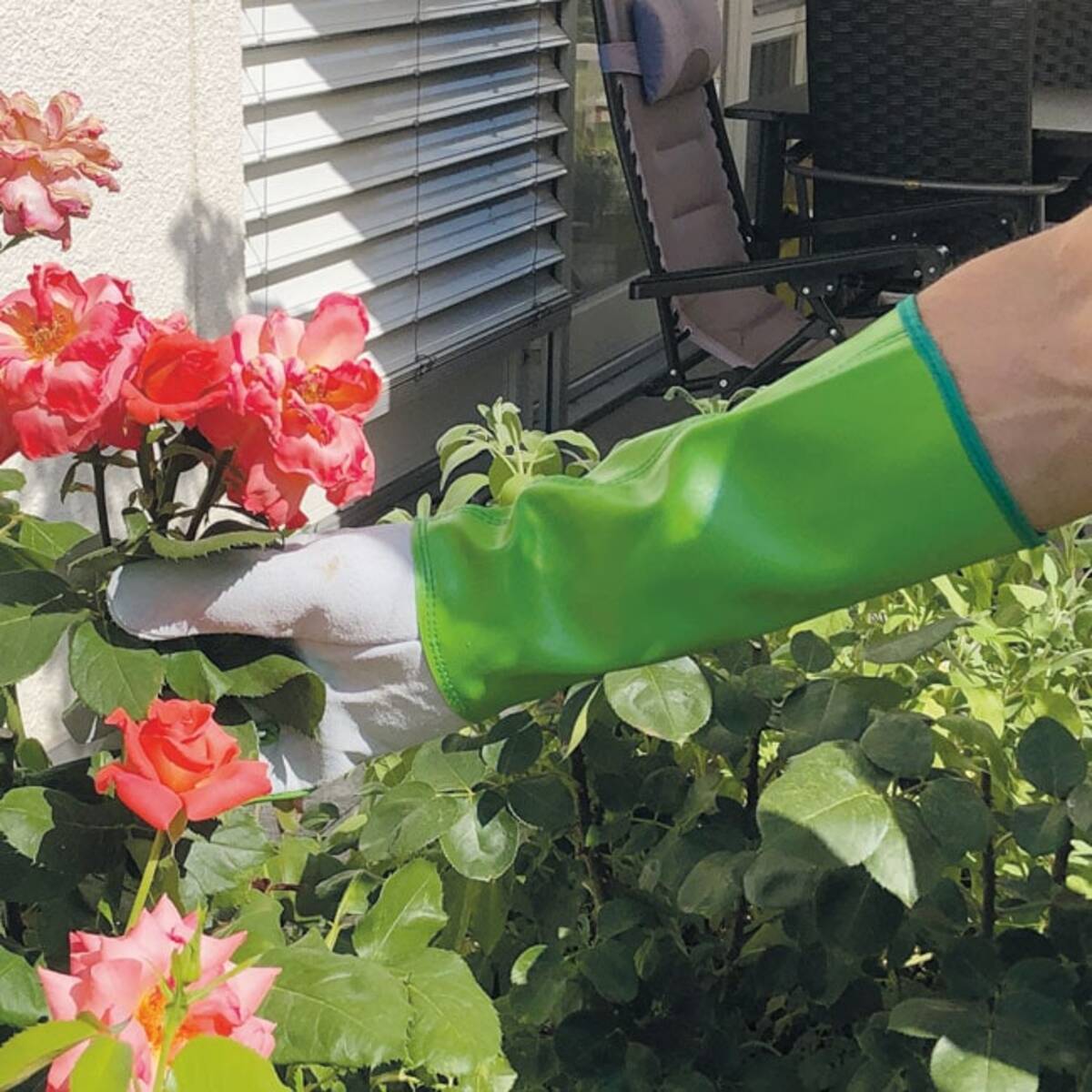Bild 1 von Gartenhandschuhe Herren