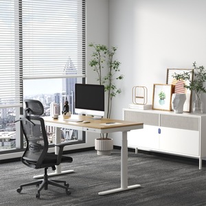 FlexiSpot BackSupport Bürostuhl BS3,Ergonomischer Stuhl für sitzende Büroarbeiter;