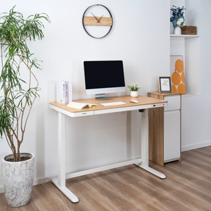 FlexiSpot Bambus Höhenverstellbarer Schreibtisch Elektrisch EW8-bb in Weiß