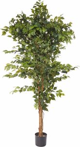 Kunstpflanze Ficus Benjamini Ficus Benjamini, Creativ green, Höhe 150 cm