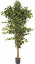 Bild 1 von Kunstpflanze Ficus Benjamini Ficus Benjamini, Creativ green, Höhe 150 cm