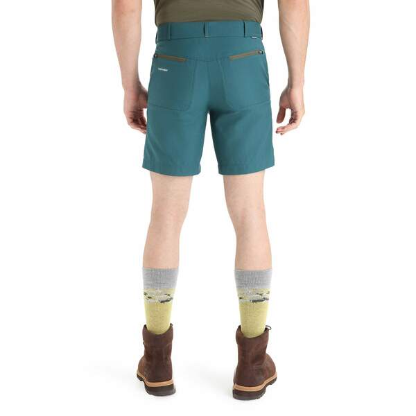 Bild 4 von Icebreaker
              
                 M MERINO HIKE SHORTS Herren - Shorts