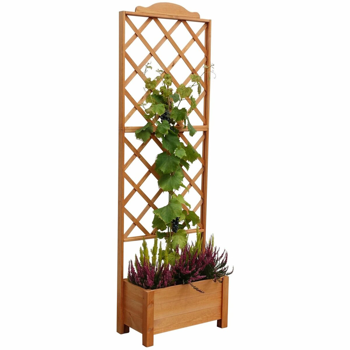 Bild 1 von Pflanzkasten Botanica mit Spalier 210 cm x 69 cm x 32 cm