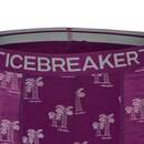 Bild 3 von Icebreaker
              
                 M ANATOMICA BOXERS Herren - Funktionsunterwäsche