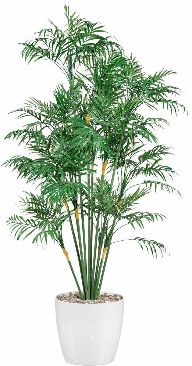 Bild 1 von Kunstpalme Palme, Creativ green, Höhe 90 cm