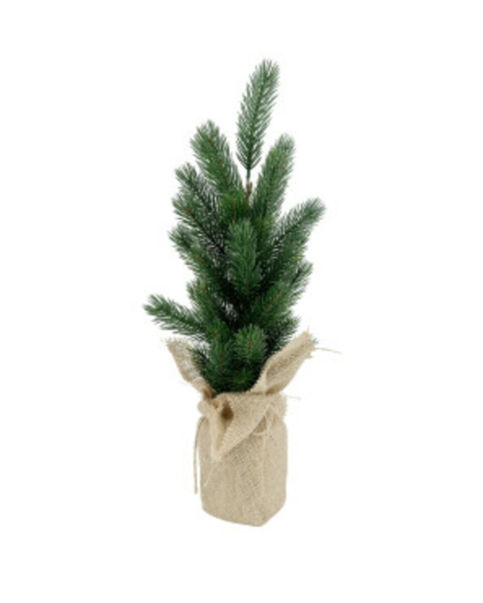 Bild 1 von Kunsttanne