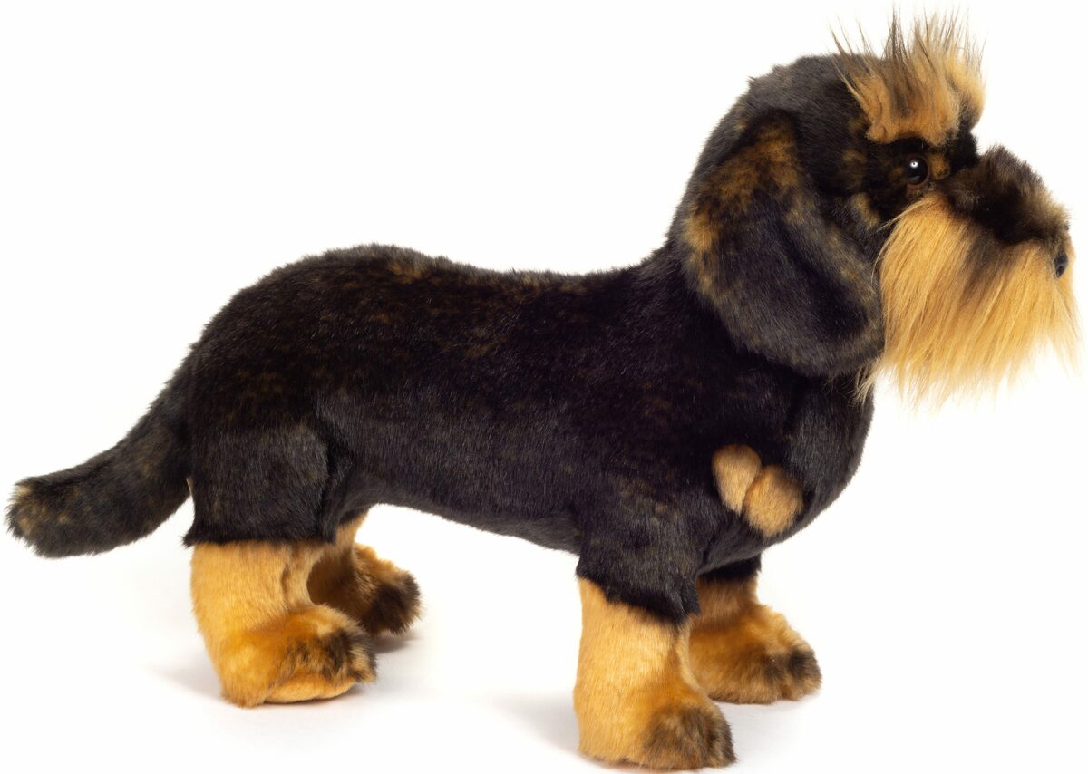 Bild 2 von Teddy Hermann® Kuscheltier Rauhaardackel stehend, 28 cm, zum Teil aus recyceltem Material