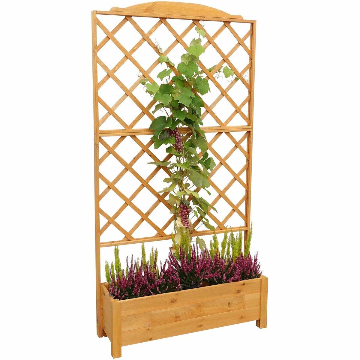 Bild 1 von Pflanzkasten Botanica mit Spalier 210 cm x 110 cm x 32 cm