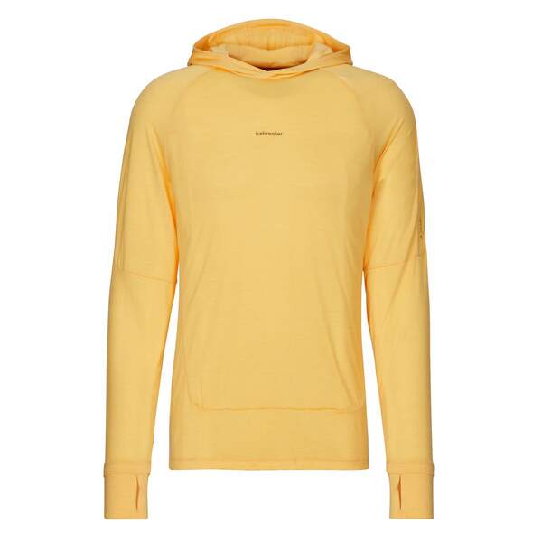 Bild 1 von Icebreaker
              
                 M MERINO 125 COOL-LITE SPHERE LS HOODIE Herren - Funktionsshirt