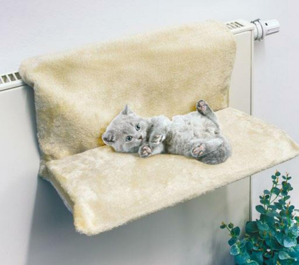 Bild 1 von Heizkörperliege