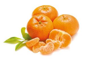 Mandarinen „Nadorcott“