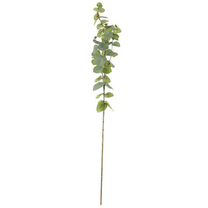 Eukalyptus Dekozweig ca.80-90cm