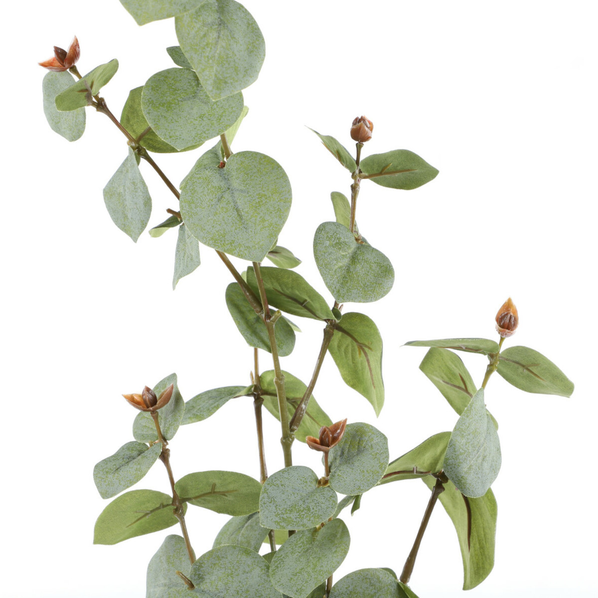 Bild 2 von Eukalyptus Dekozweig ca.80-90cm