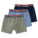 Bild 1 von 3 Jungen Boxer in Melange-Optik