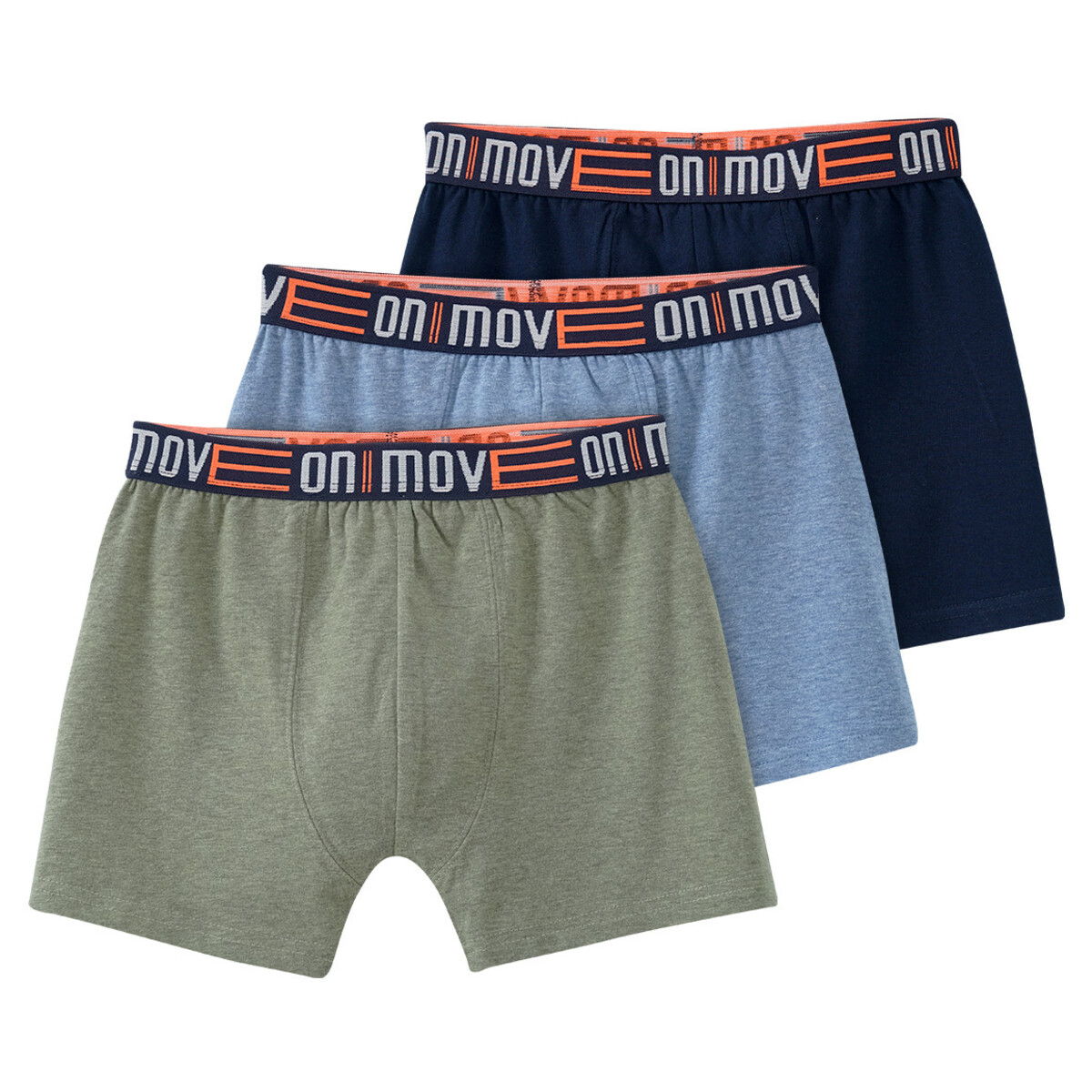 Bild 1 von 3 Jungen Boxer in Melange-Optik