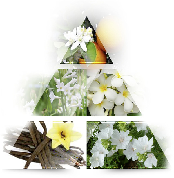 Bild 2 von LA RIVE La Rive Geschenkset Her Choice 100ml EDP + 100ml Dusche