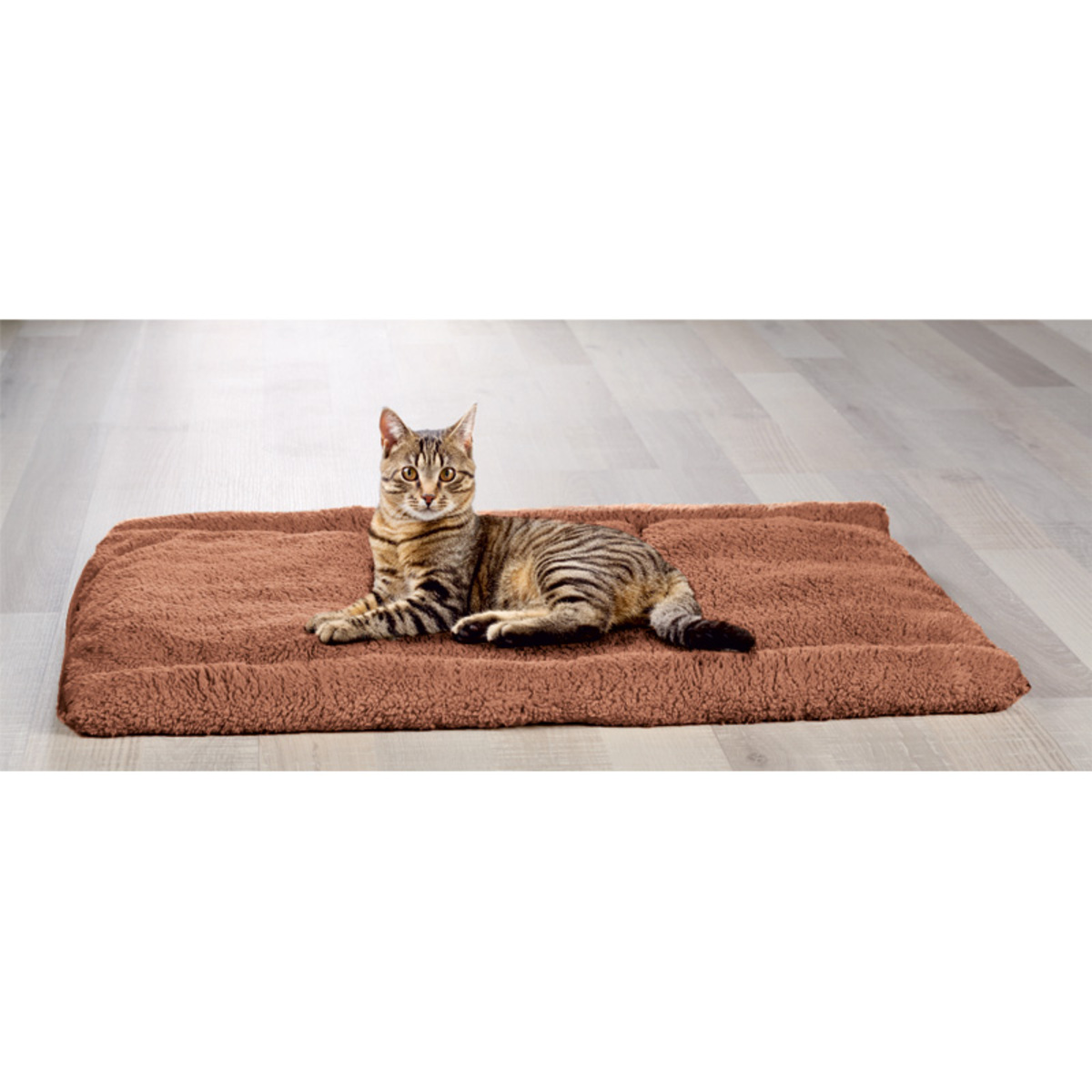 Bild 2 von Cat-Bonbon Katzentunnel 2in1