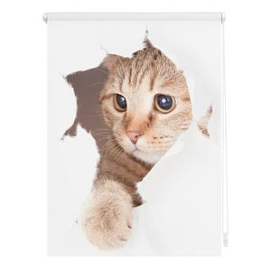 Lichtblick Rollo Klemmfix, ohne Bohren, Verdunkelung, Katze  - Weiß Braun